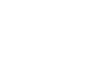 Trion Logo Image